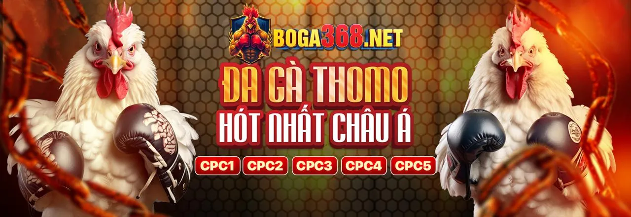 Đá gà trực tuyến FUB88 - Trận đấu kịch tính