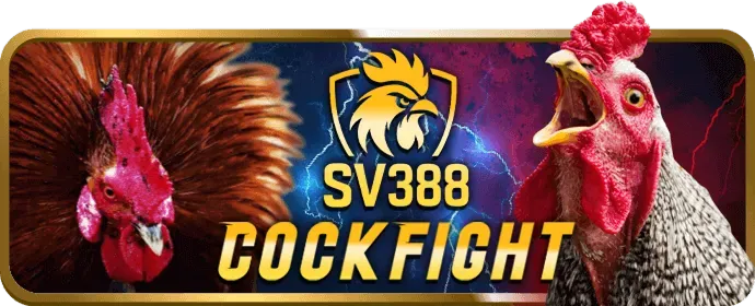Bàn chơi Blackjack với các quân bài